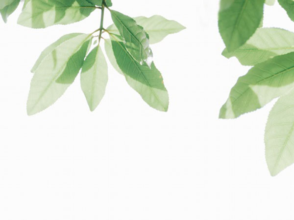 太平洋笔记本(笔记本网)