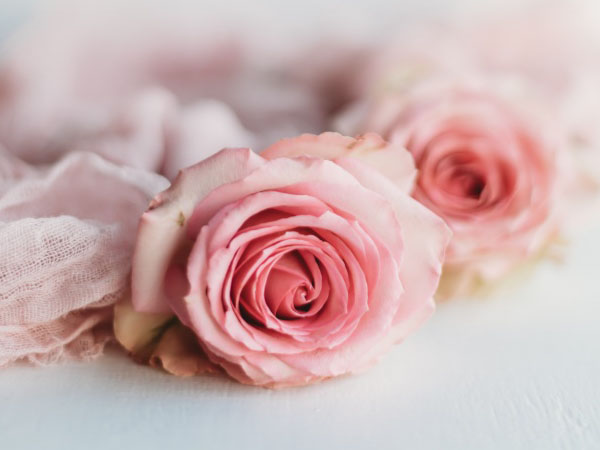 东芝笔记本电脑(东芝笔记本升级后的配置情况)