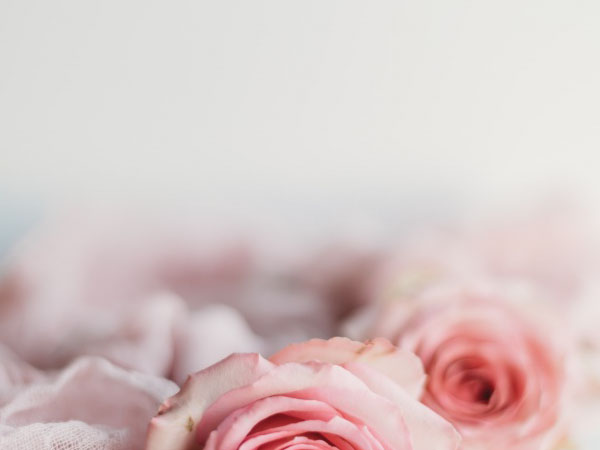 毛线小精灵视频攻略，毛线小精灵视频教程分享