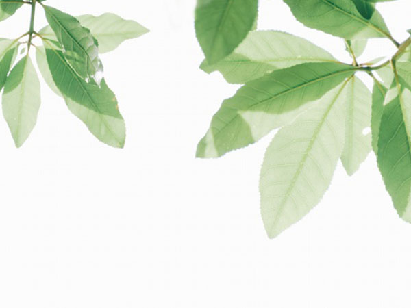 尼米亚传奇破解版，求泽诺尼亚传奇3破解版哪里有的下载本人喜欢玩这个游戏但是