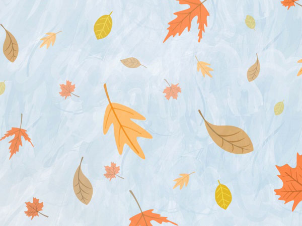 电脑包在哪里买(笔记本电脑包哪里有卖)