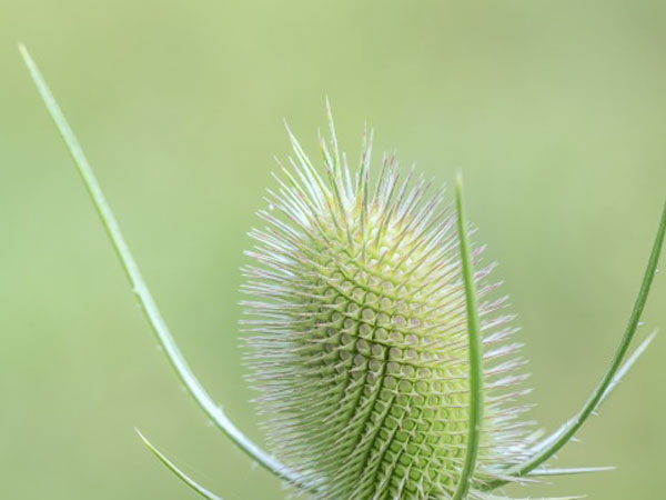 不可思议冒险迷宫攻略，冒险迷宫攻略指南