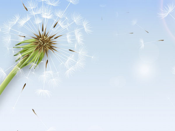 刀塔传奇 女武神4，刀塔传奇英雄试炼女武神多少战斗力可以打