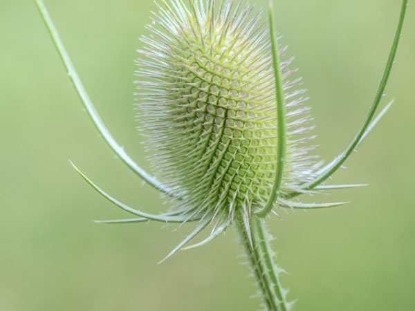 手机传奇游戏官网下载，QQ游戏大厅