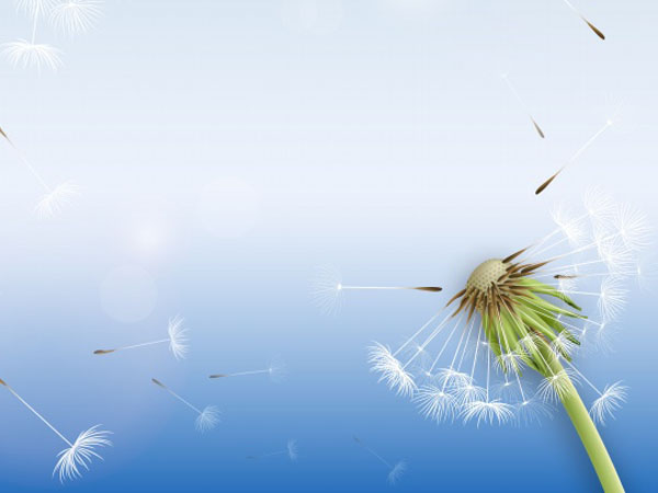 做传奇网页游戏需要什么,网页传奇游戏排行榜前十名