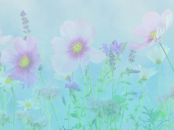 鲜竹笋的做法(鲜竹笋的正确吃法)