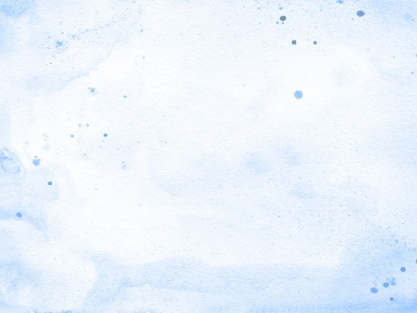 宝沃汽车(宝沃汽车app最新版本)