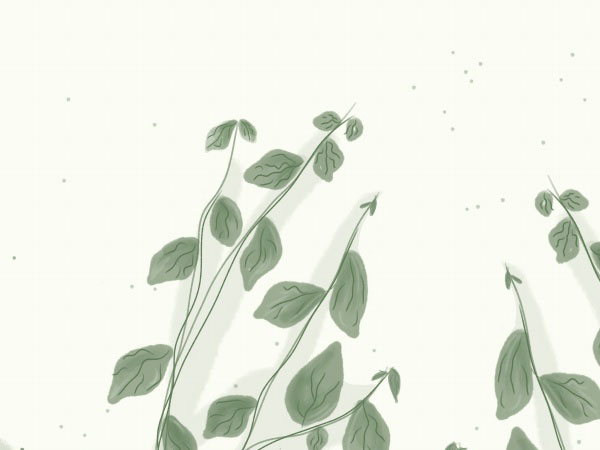 复读是读几年(复读通常是几年制)