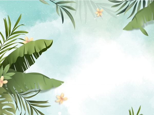 火影ol仙人标记有什么用