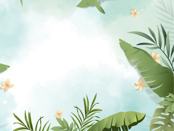 北京限行规定(北京将实行单双号限行)