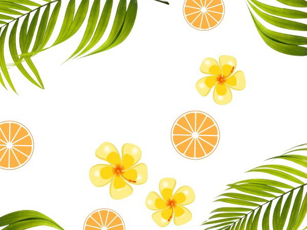 路由器连接满信号没网(满格无线信号但特别卡)