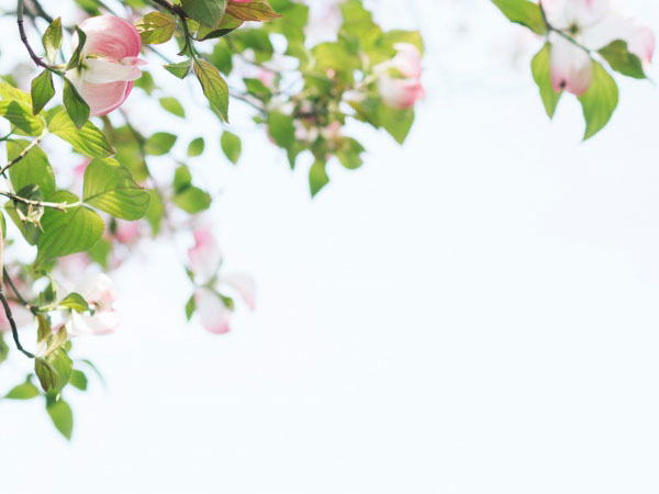 箭王 攻略，成为箭王的必杀技巧