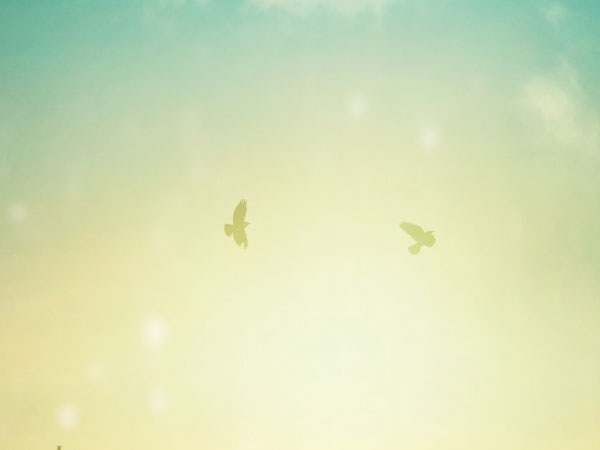 8g内存条价格(内存条越大越好吗)