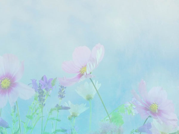 传奇3 公会聊天，在传奇里面怎么在行会里说话