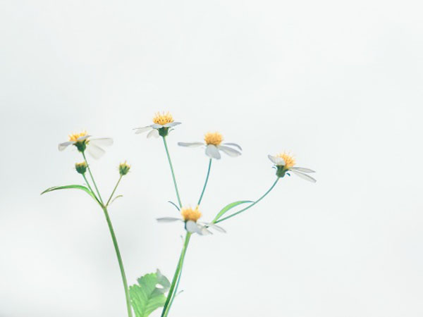 路由器排行榜2019(2021路由器排行榜)