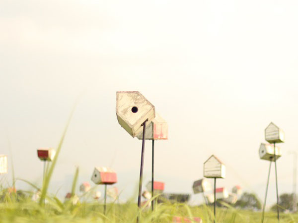 武汉联通送千兆路由器套餐(联通流量卡套餐)